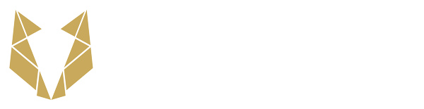 Dawid Wilczyński Logo Iluzjonisty